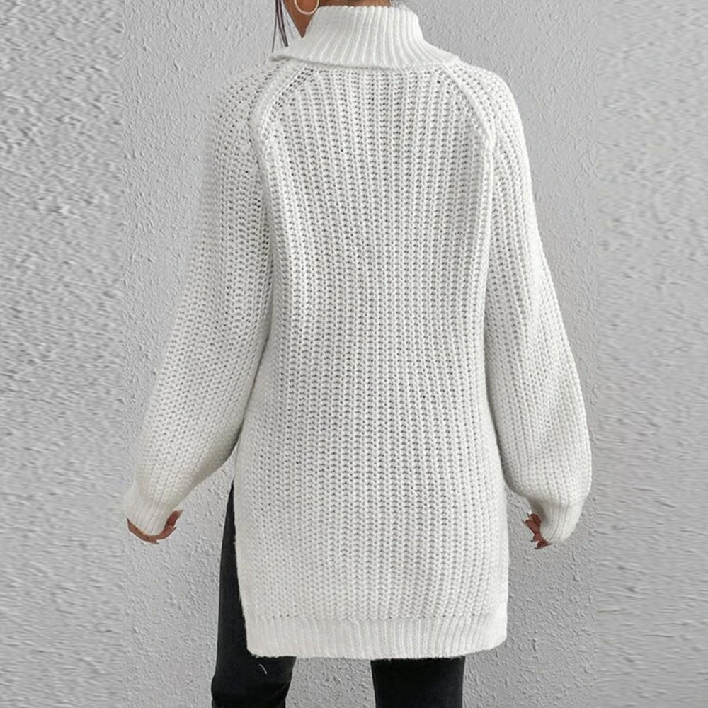 Women‘s Knit Raglan Sleeves Turtleneck Sweater Dress