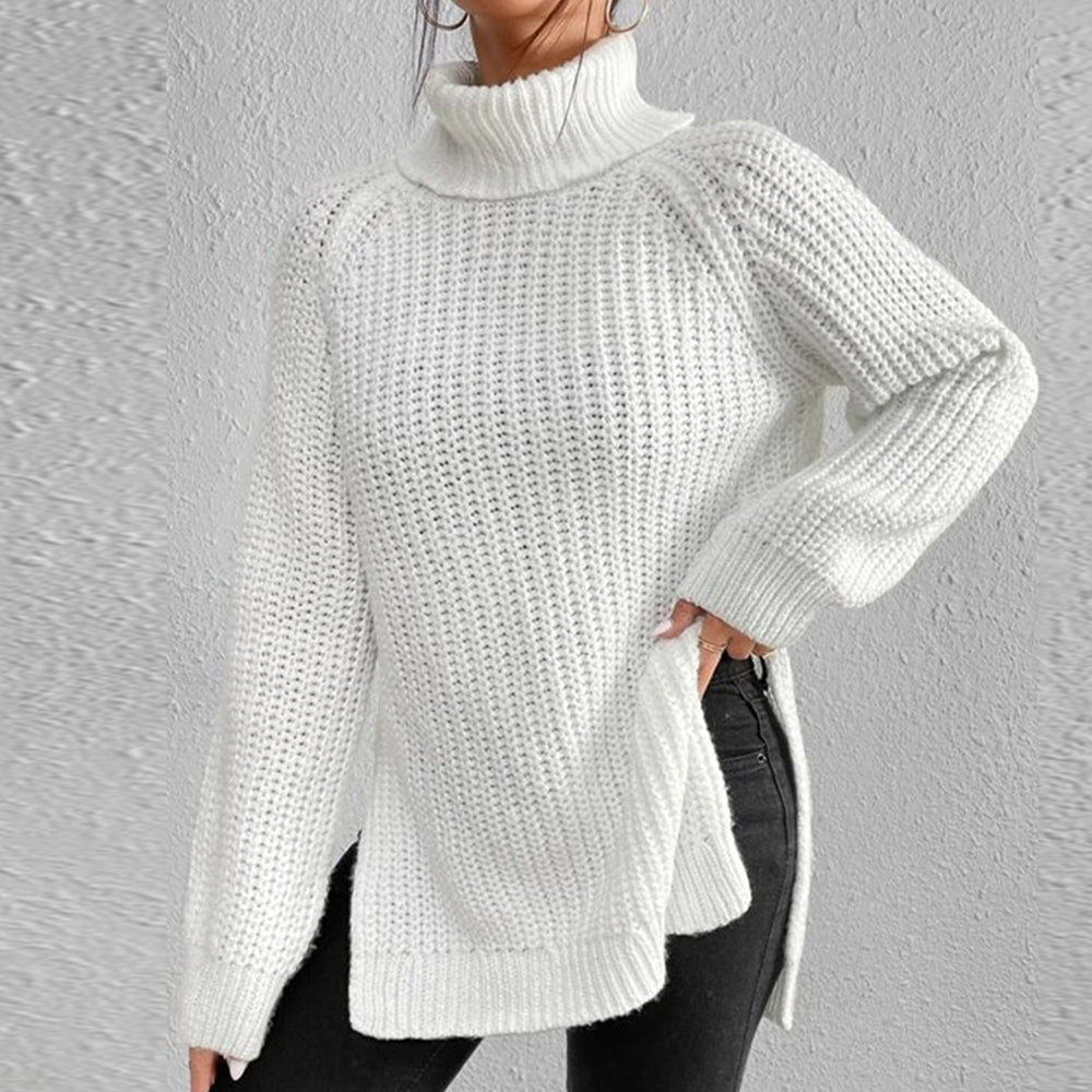Women‘s Knit Raglan Sleeves Turtleneck Sweater Dress