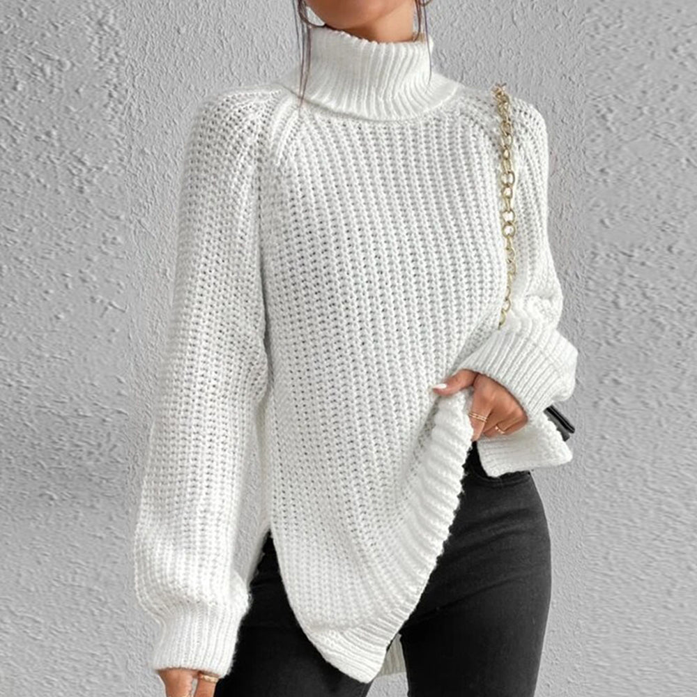 Women‘s Knit Raglan Sleeves Turtleneck Sweater Dress