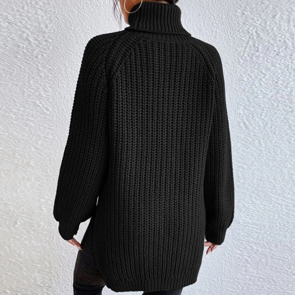 Women‘s Knit Raglan Sleeves Turtleneck Sweater Dress