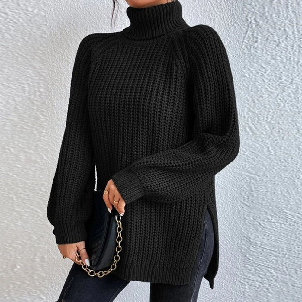 Women‘s Knit Raglan Sleeves Turtleneck Sweater Dress