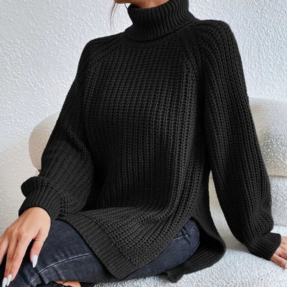 Women‘s Knit Raglan Sleeves Turtleneck Sweater Dress