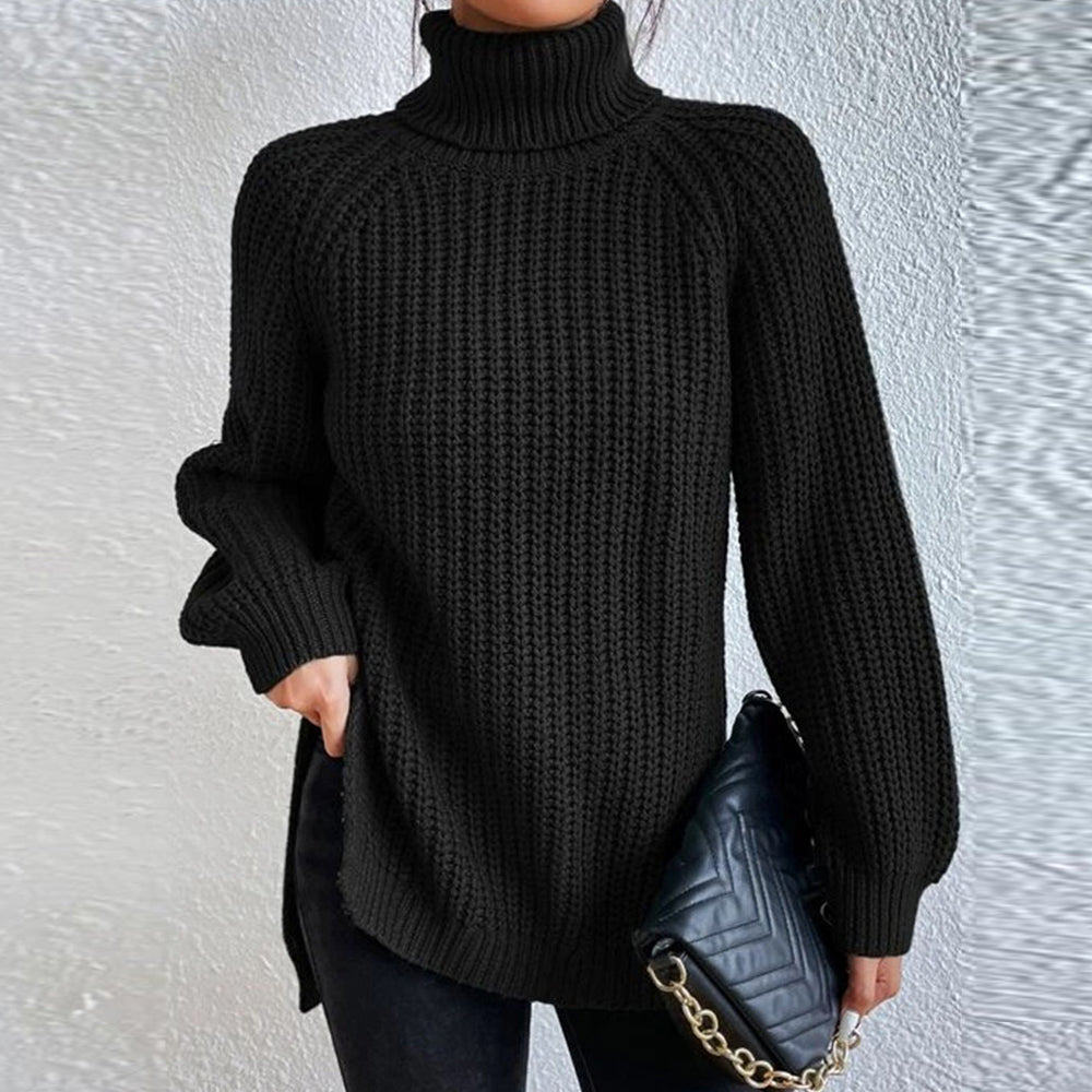 Women‘s Knit Raglan Sleeves Turtleneck Sweater Dress