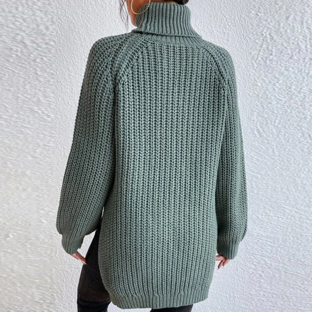 Women‘s Knit Raglan Sleeves Turtleneck Sweater Dress