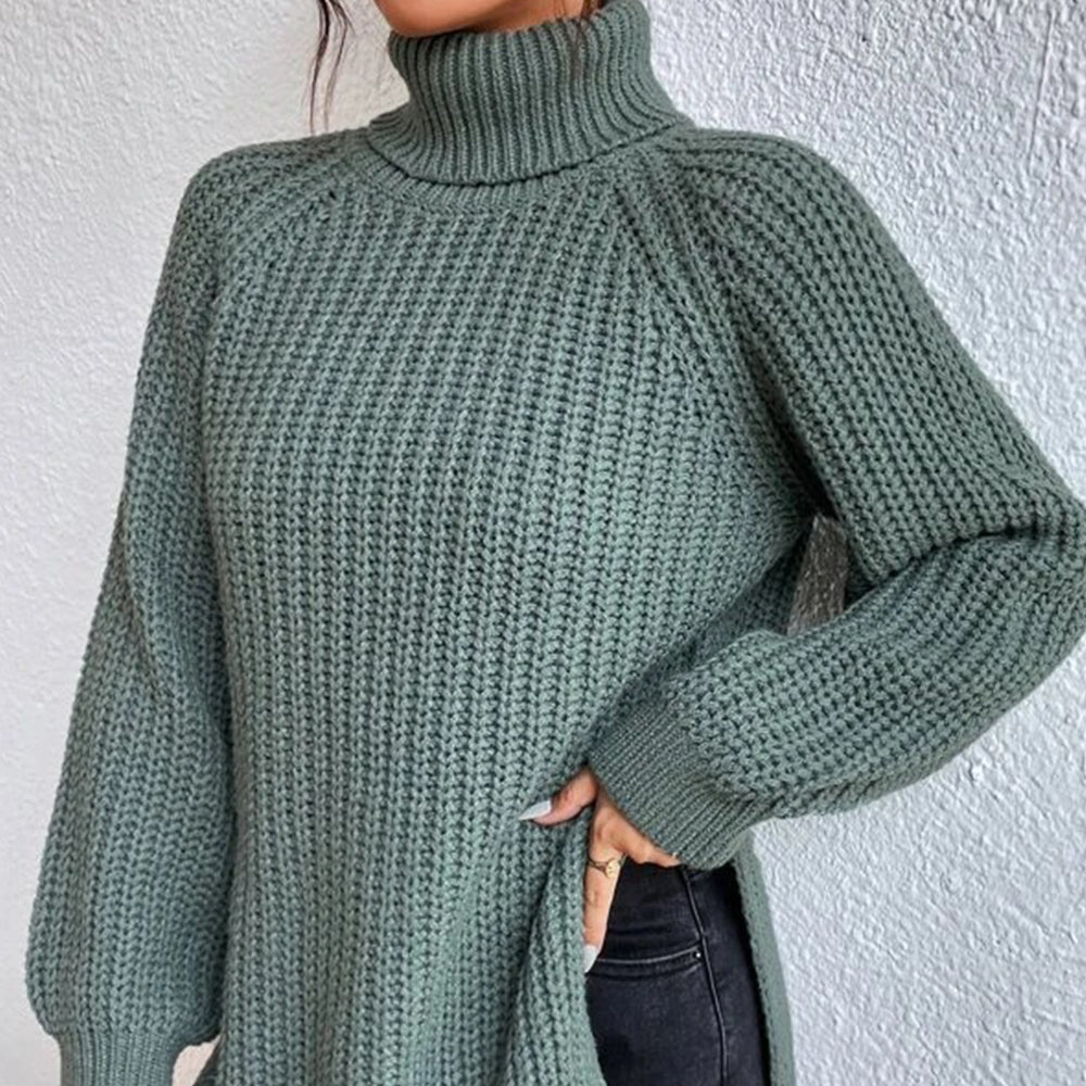 Women‘s Knit Raglan Sleeves Turtleneck Sweater Dress