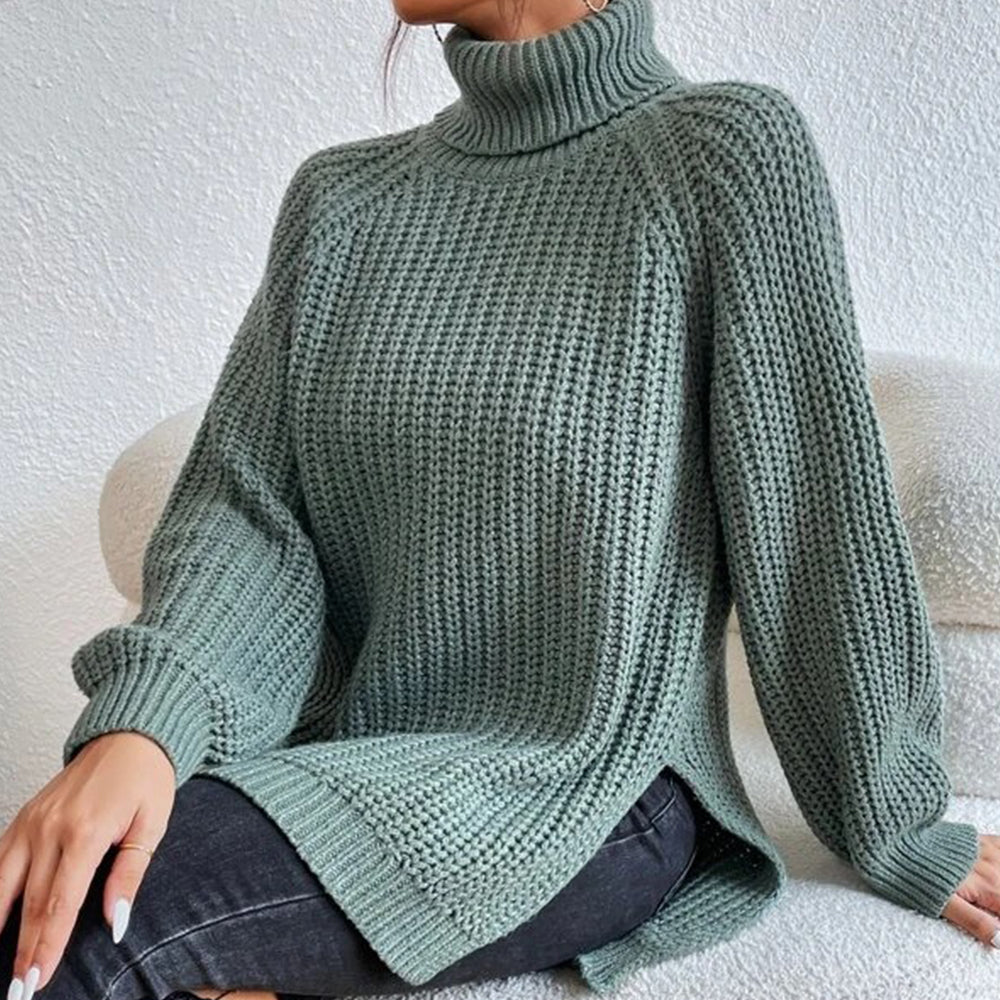 Women‘s Knit Raglan Sleeves Turtleneck Sweater Dress