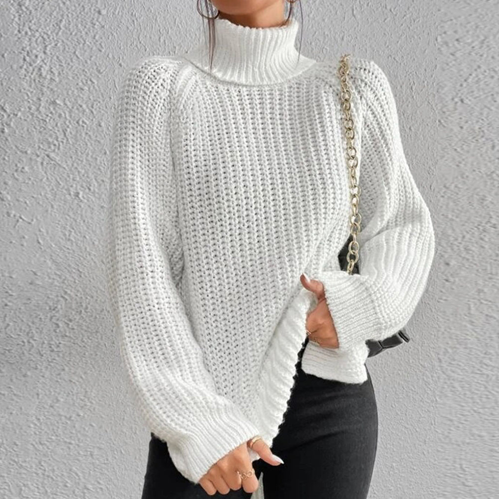 Women‘s Knit Raglan Sleeves Turtleneck Sweater Dress