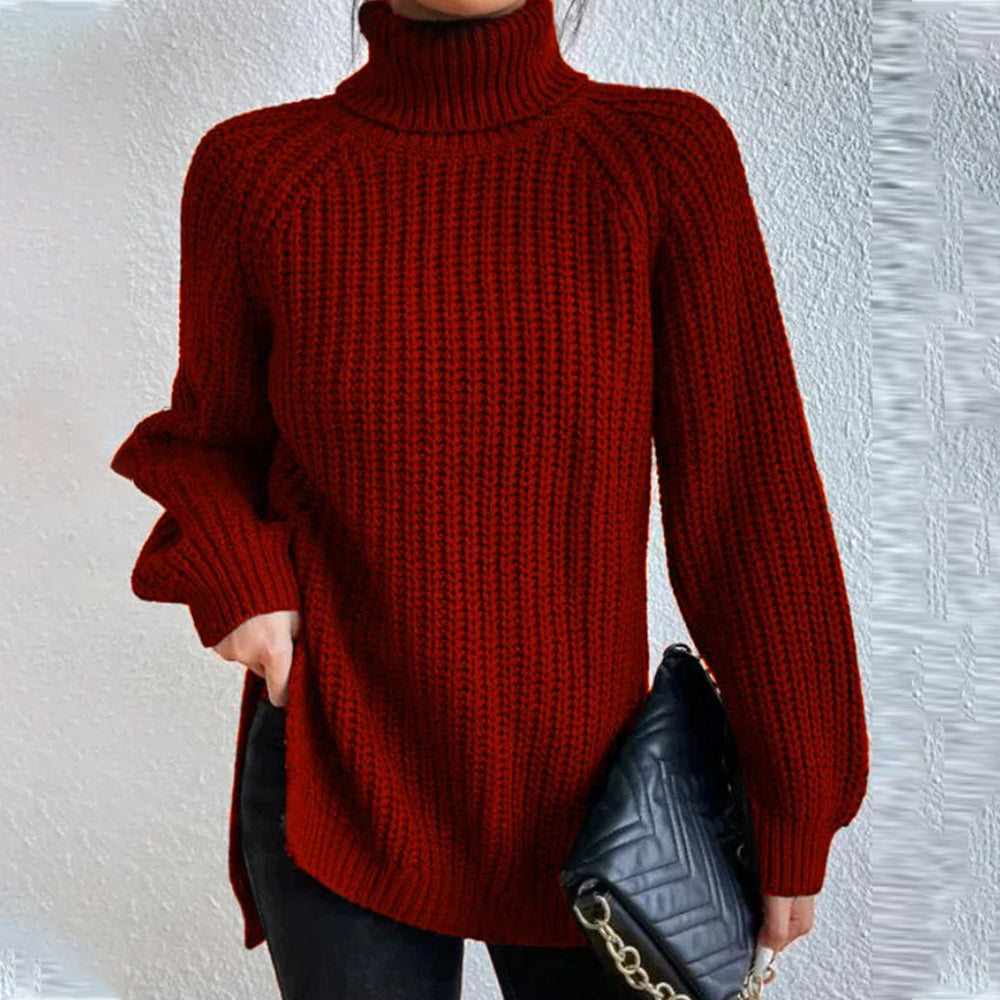 Women‘s Knit Raglan Sleeves Turtleneck Sweater Dress
