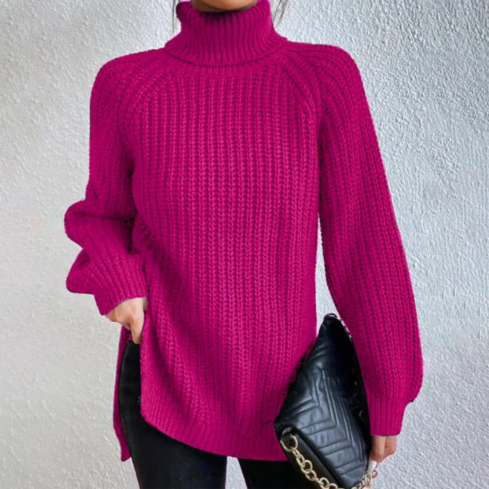 Women‘s Knit Raglan Sleeves Turtleneck Sweater Dress