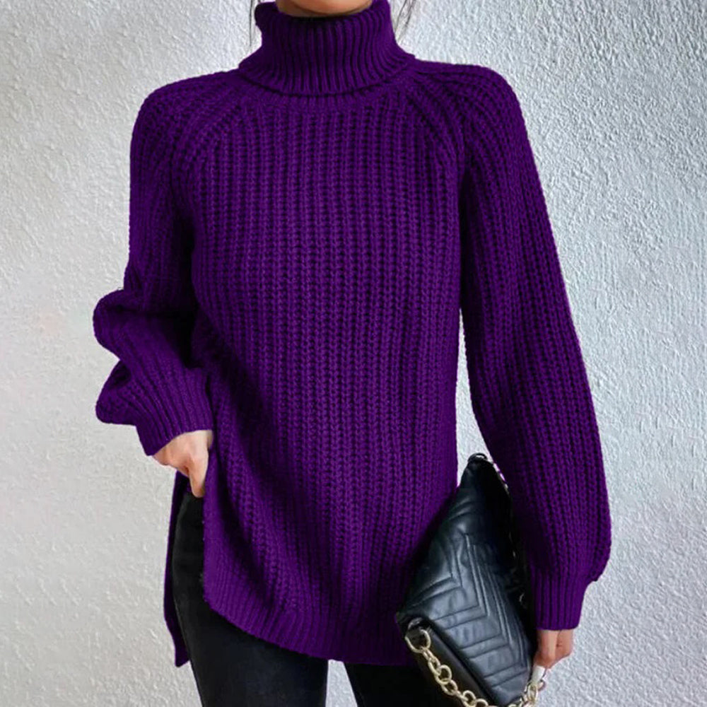 Women‘s Knit Raglan Sleeves Turtleneck Sweater Dress