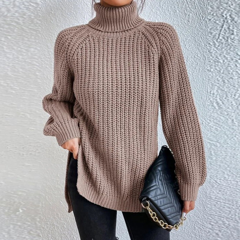 Women‘s Knit Raglan Sleeves Turtleneck Sweater Dress