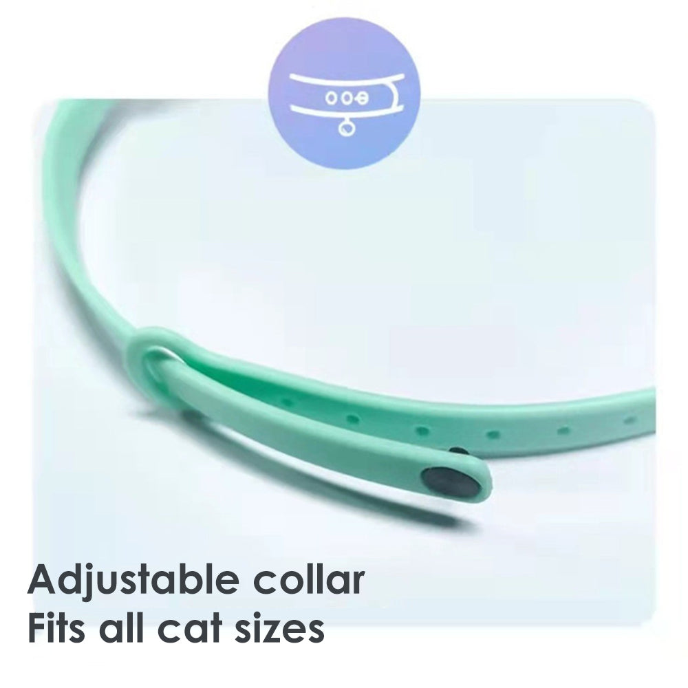 Electric Smart Amusing Collar for Kitten