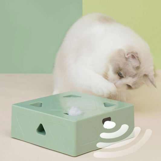 Ultra Fun Electric Cat Teaser Box