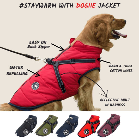 Waterproof Winter Dog Jacket with Built-in Harness