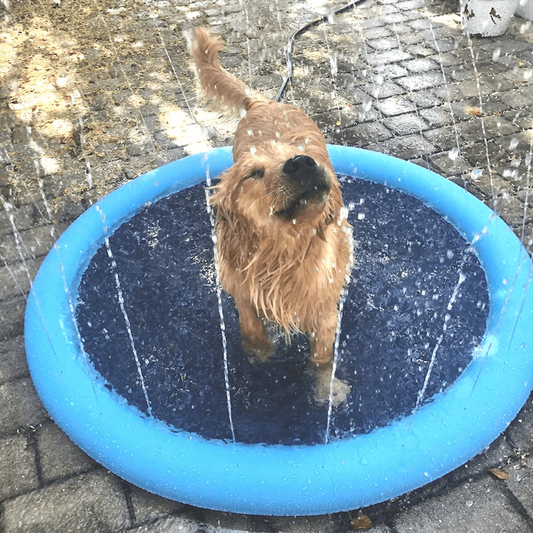 Outdoor Splash Sprinkler Pad